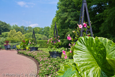 Flower Garden Walk - Longwood Gardens