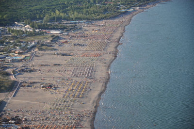 Nikon 2007.jpg