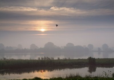 Uiterwaarden van de IJssel bij Wilp