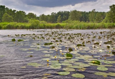 De Wieden Belt Schutsloot (Overijssel)