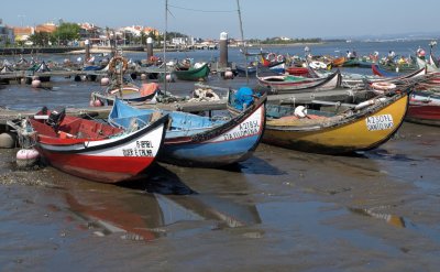 Vissersbootjes bij Torreira, Portugal