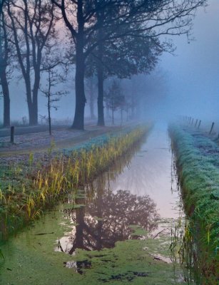 Slootje in de mist