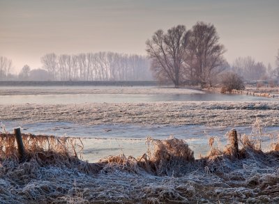 Overstroomde uiterwaarden van de IJssel