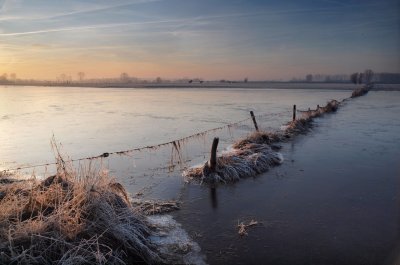 Hoog water bij de IJssel