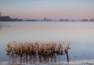 Overstroomde uiterwaarden van de IJssel