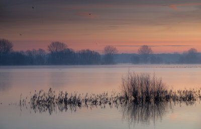 Zonsopkomst langs de IJssel