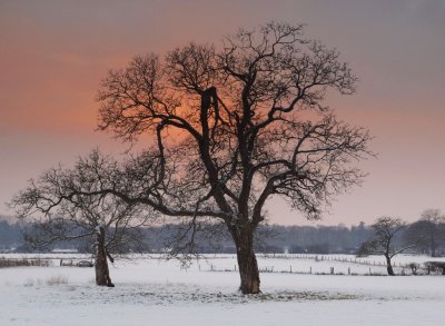 Dutch Landscapes Winter