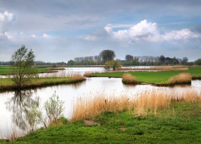 Zwarte Water en Vecht bij Zwolle