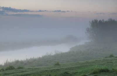 Uiterwaarden van de IJssel bij Wilp