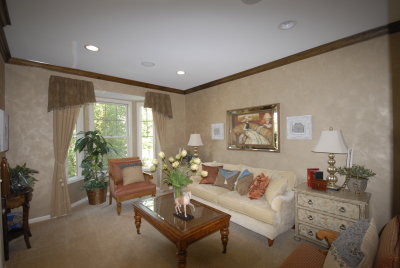 Flex Living Room