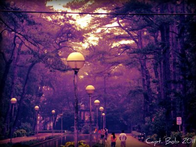 Mansion Park.jpg