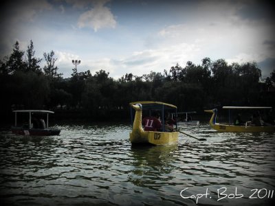 Swan Boats 2.jpg