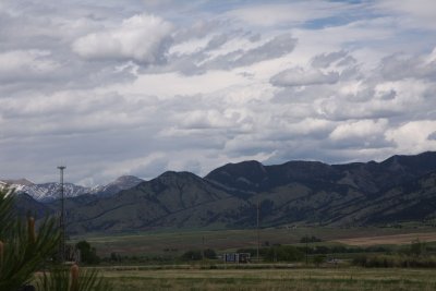 IMG_0243.jpg