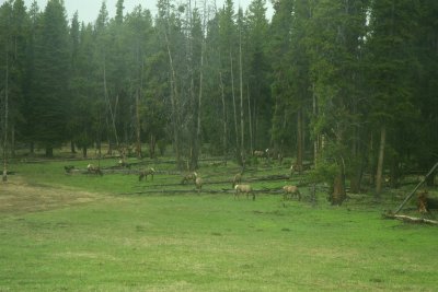 IMG_0279.jpg