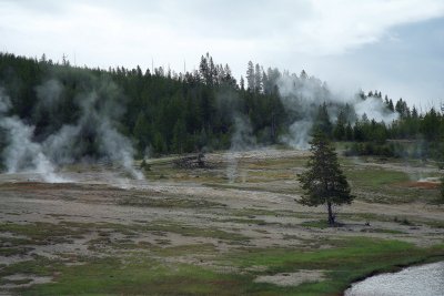 IMG_0322.jpg