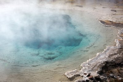IMG_0348.jpg