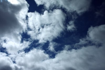 IMG_0385.jpg