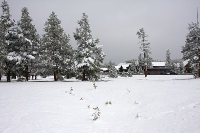 IMG_0449.jpg
