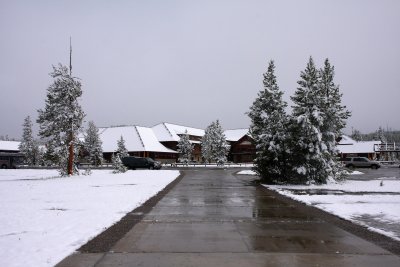 IMG_0450.jpg