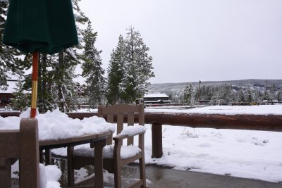 IMG_0451.jpg