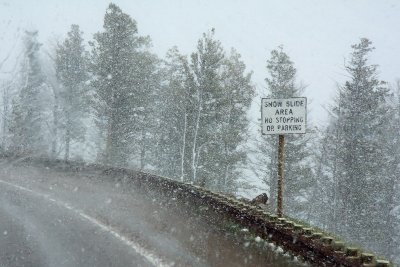 1_bozman_and_yellowstone