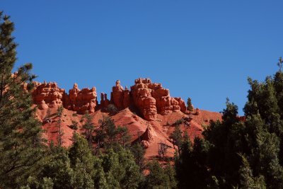 IMG_0934.jpg