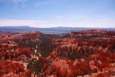 IMG_1003.jpg