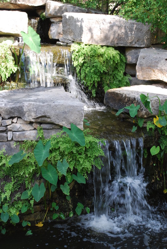 Ft Worth Arboretum