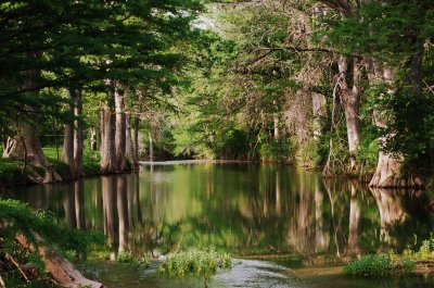 Near Wimberley Texas