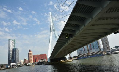 Under the ultra modern bridge of Rotterdam.