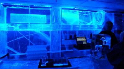 the <a href=http://www.nordicseahotel.se/en/The-hotel/Food-and-drink/Absolut-Icebar-Stockholm/> Icebar</a>