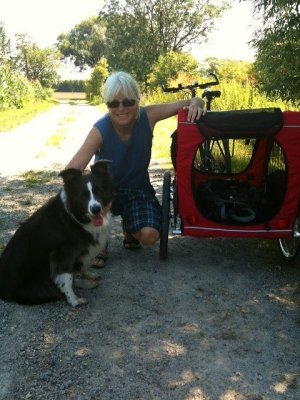 training Moni for  the doggie trailer