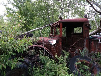 IMG_0720.jpg