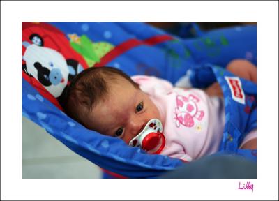 lilly8111.jpg