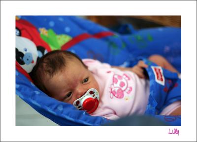 lilly8112.jpg