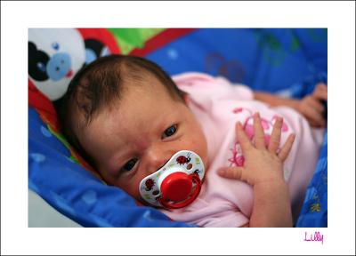 lilly8113.jpg