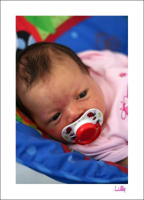 lilly8115.jpg