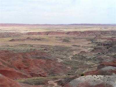 P5290194 copy.JPG