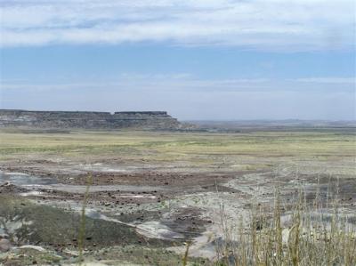 P5290307 copy.JPG