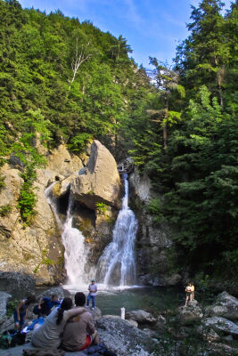 IMG03477.jpg