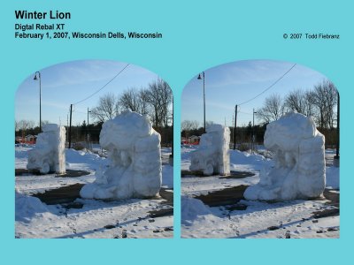 Winter Lion_resize.jpg