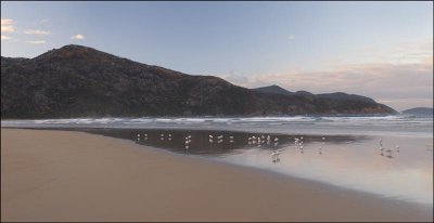 Tidal River