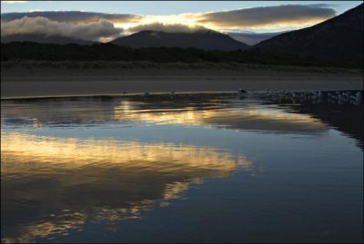 Tidal River