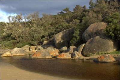 Tidal River - Sunburst Series 2