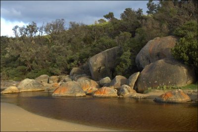 Tidal River - Sunburst Series 2
