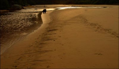 Tidal River - Something Interesting?