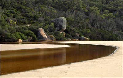 Tidal River