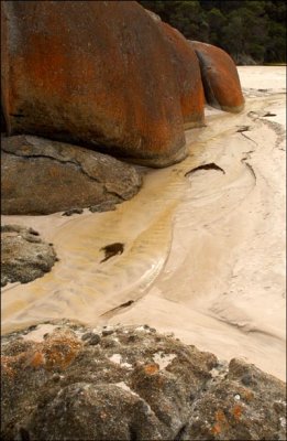 Squeaky Beach