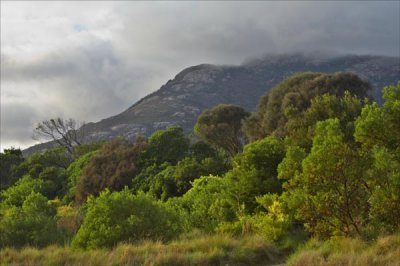 Mount Oberon