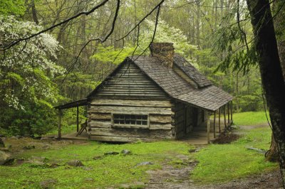 04/04/11 - Spring in the Smokies